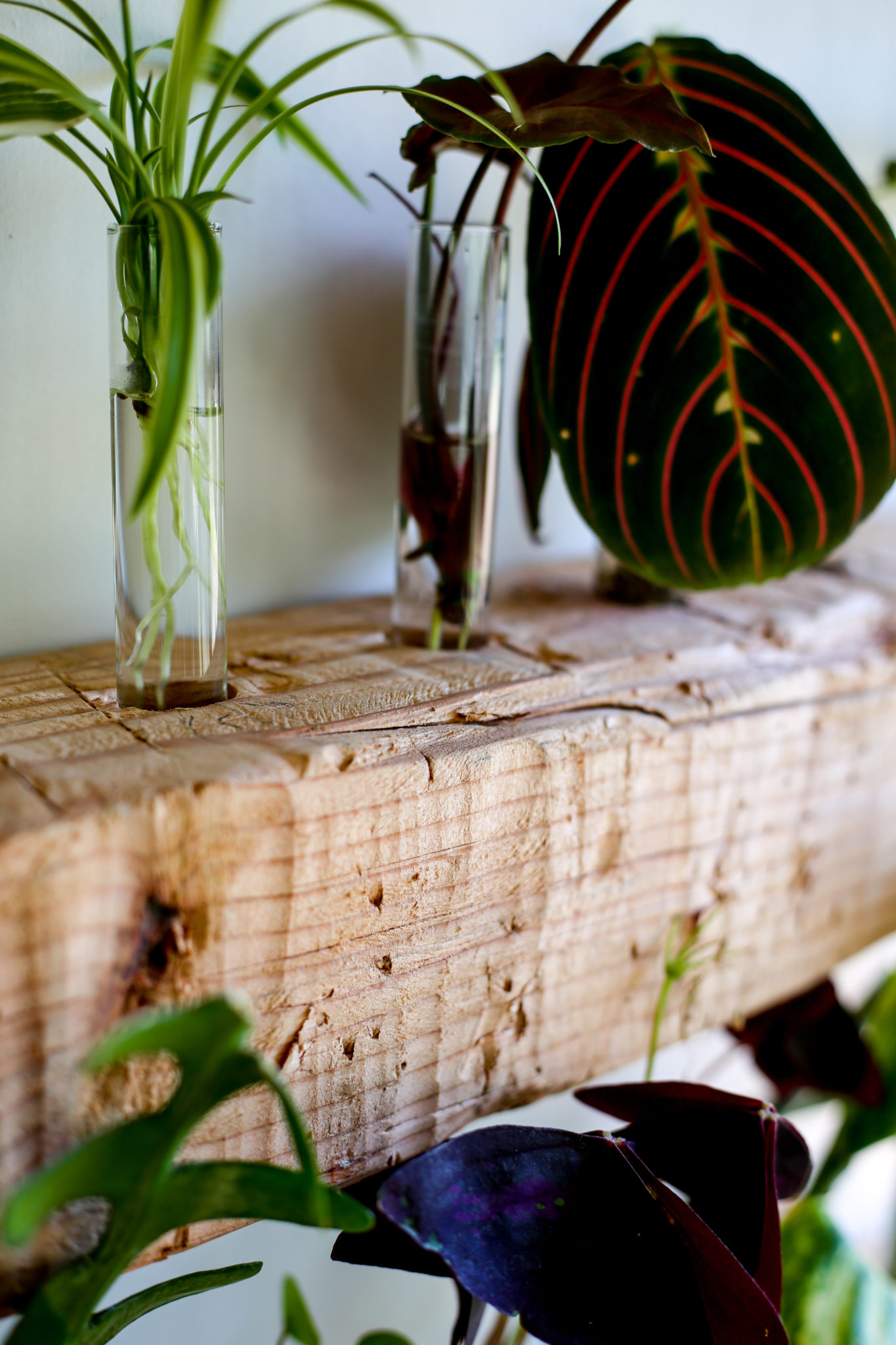 skoolie propagation wall