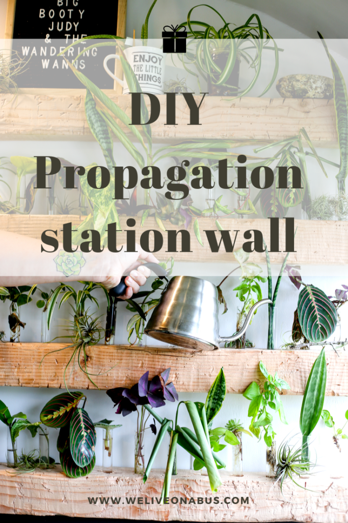propagation station